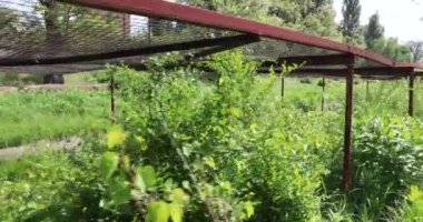 Koruma yüksek gerilim ağlardan