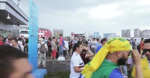 Футбольные фанаты Польши — стоковое видео
