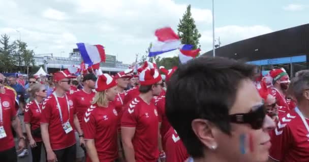 Football fans of France — Stock Video