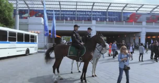 ファンの間で騎馬警察 — ストック動画