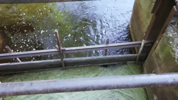 Aguas residuales industriales y espuma — Vídeos de Stock