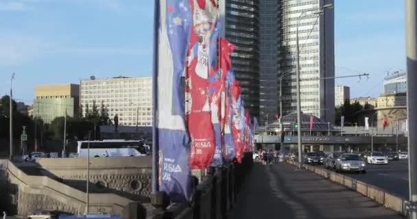 旗子以冠军的标志2018 — 图库视频影像