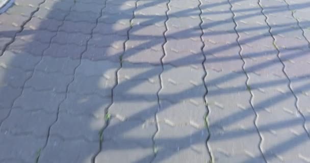 Sidewalk tile and shadow — Stock Video