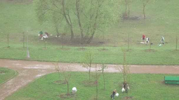 ピクニックの間に降雨量 — ストック動画