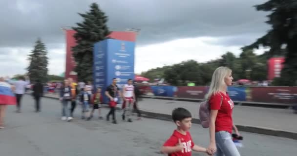 Fifa ワールド カップ、雀が丘のファンのお祭り — ストック動画