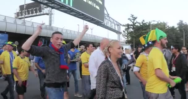 Sarhoş futbol hayranı tutuklanması — Stok video