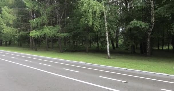 Carril bici en el parque — Vídeo de stock