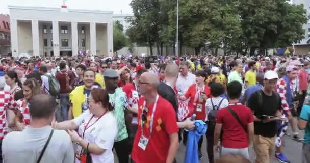 Fãs de futebol de Final — Vídeo de Stock