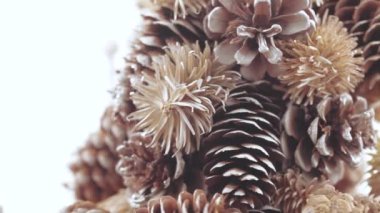 Noel ağacı koniler