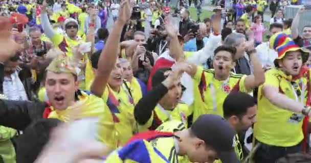 Tifosi di calcio della Colombia — Video Stock