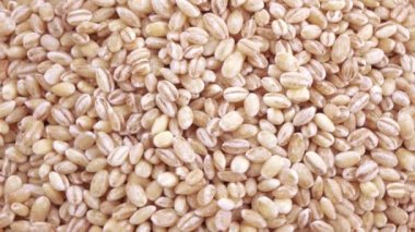 Pearl arpa zararlıları ile