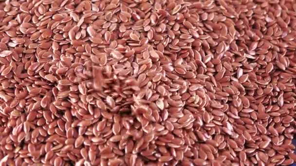 Semillas de lino a granel — Vídeo de stock
