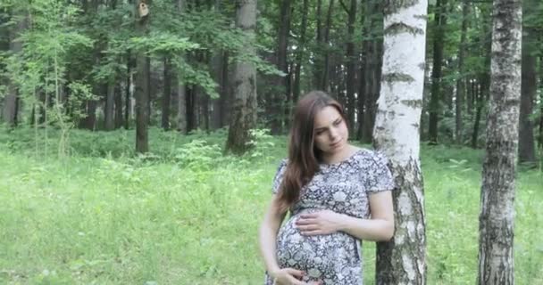 Pregnant girl in birches — Stock Video