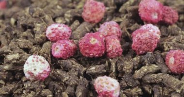 Ivan-çay çilek ile