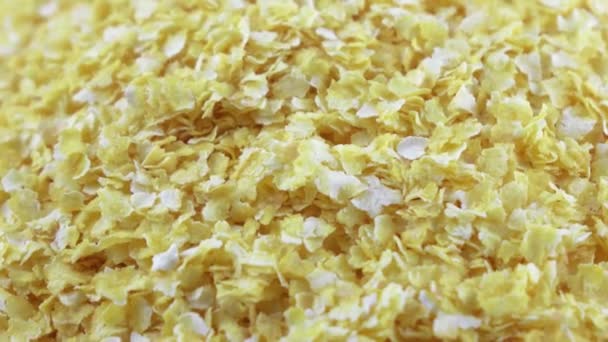 Pełnoziarniste płatki kukurydziane — Wideo stockowe