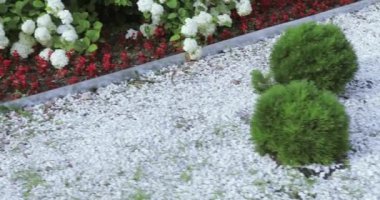 Peyzaj Tasarım çiçek yatak Park