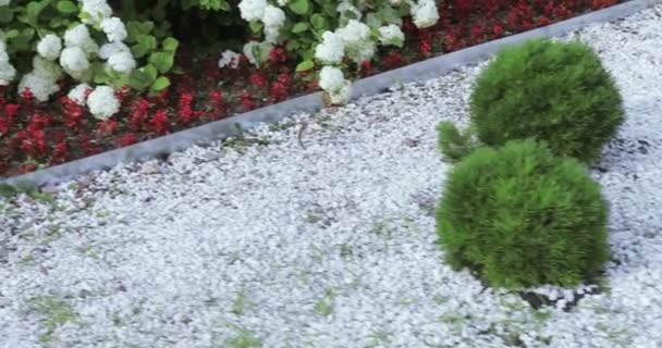 Projeto de paisagem canteiros de flores no parque — Vídeo de Stock