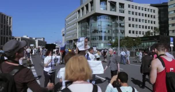 Banner met Sentsov — Stockvideo