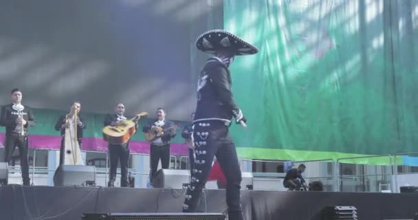 Mexicaanse carnaval viering van de doden — Stockvideo