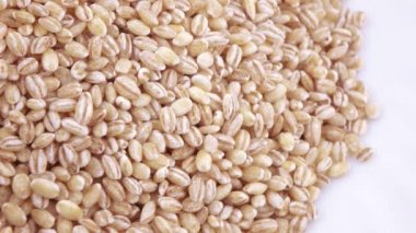 Pearl arpa zararlıları ile