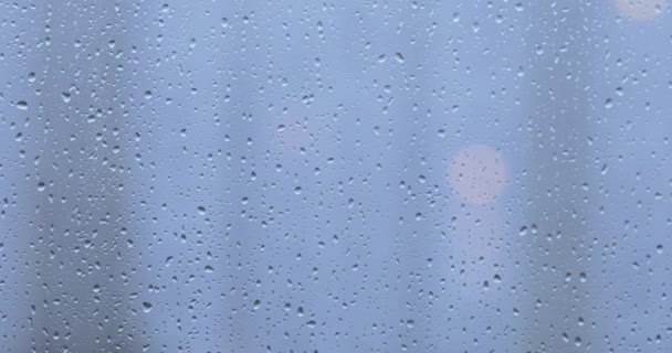 Regendruppels op het glas — Stockvideo