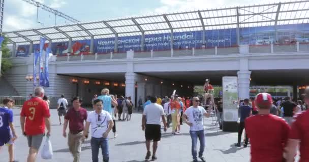 Fußballfans in Frankreich — Stockvideo