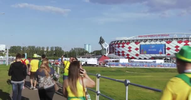 セルビアのフットボールのファン — ストック動画