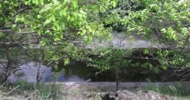 폐수의 배출에 대 한 채널 — 비디오