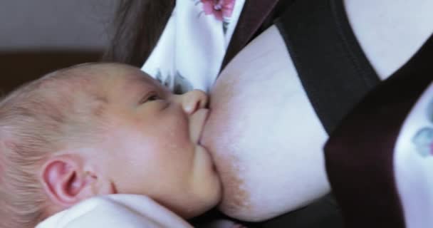 Mulher bonita está alimentando o bebê — Vídeo de Stock