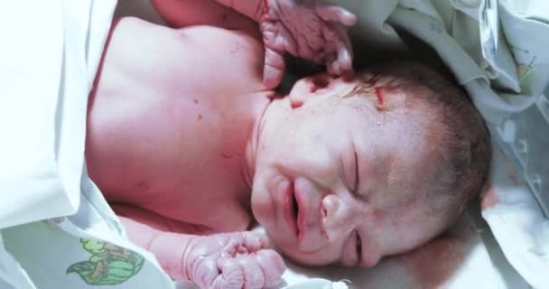 Los llantos del niño recién nacido — Vídeo de stock