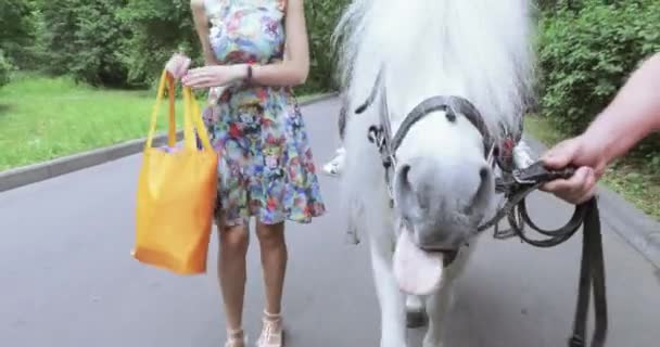 Menina criança em um cavalo — Vídeo de Stock