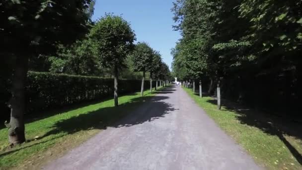 Велосипедная дорожка в парке — стоковое видео