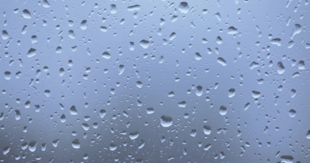 Rain drops on the glass — Stock Video