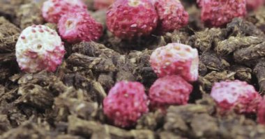 Ivan-çay çilek ile