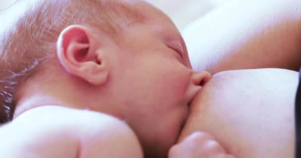 Belle femme nourrit le bébé — Video