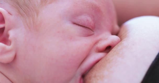 Baby schläft beim Stillen — Stockvideo