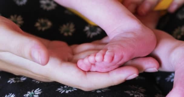 Femme tenant des jambes de bébé — Video