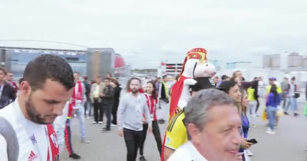 De ventilators van de voetbal van Colombia — Stockvideo