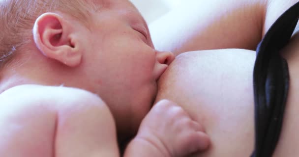 Hermosa mujer está alimentando al bebé — Vídeos de Stock