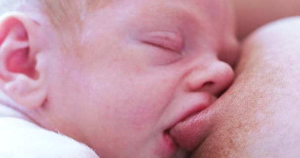 Baby is in slaap tijdens borstvoeding — Stockvideo