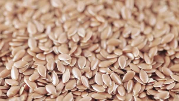 Semillas de lino a granel — Vídeo de stock