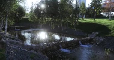 Art arda sıralı gölet Park