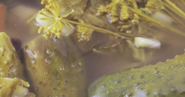 Dereotu ile salatalık turşu