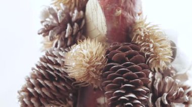 Noel ağacı koniler