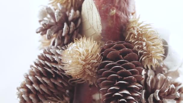 Weihnachtsbaum aus Zapfen — Stockvideo