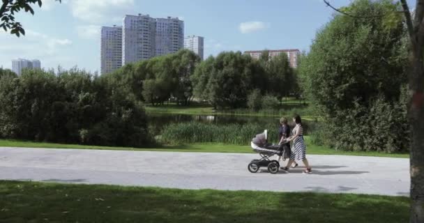 Junge Mutter mit ihrer Mutter im Park — Stockvideo