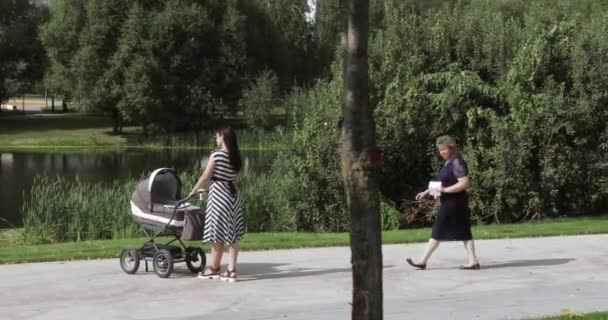 Jonge moeder met haar moeder in het park — Stockvideo