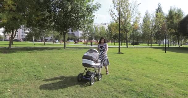 Mom with daughter on pond — Stock Video