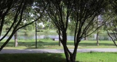 Sahilde ahşap iskeleler