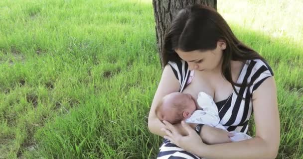 Mutter füttert das Kind unter dem Baum — Stockvideo